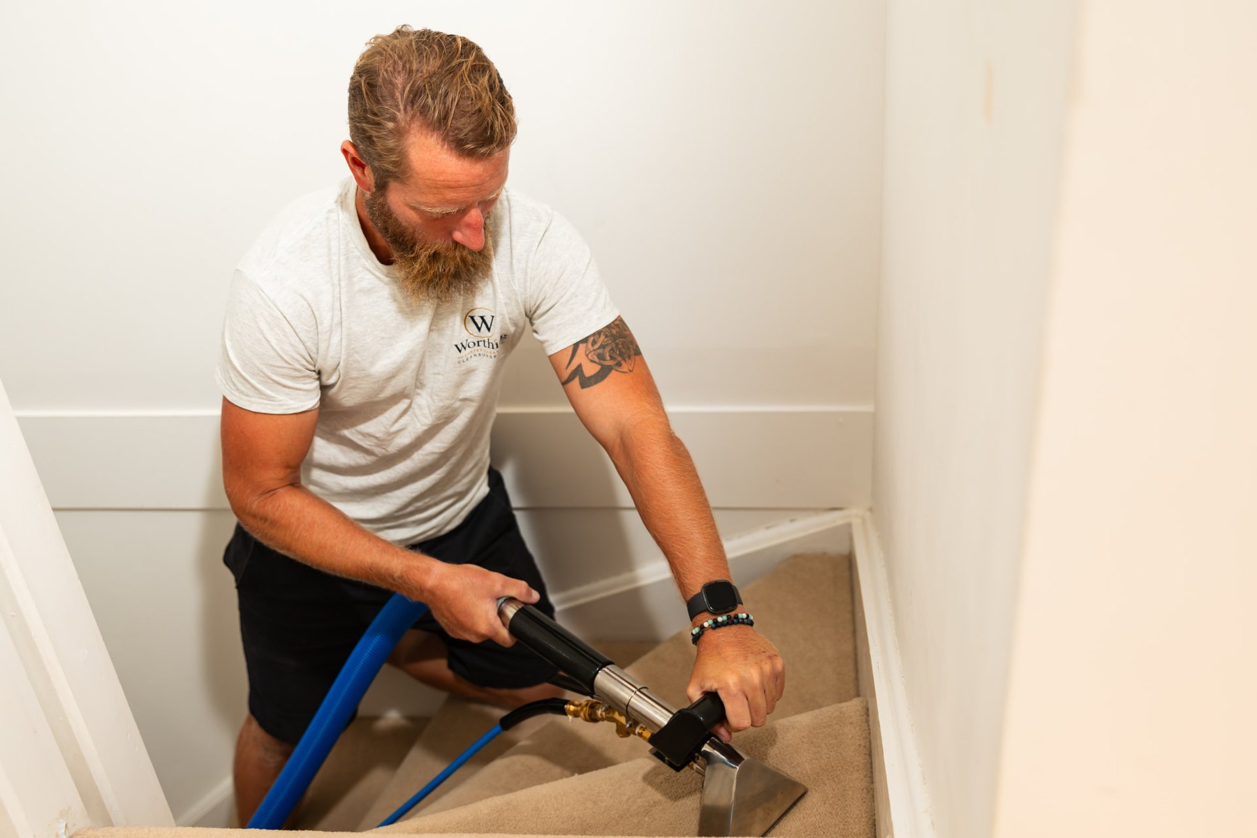 Professional carpet cleaning in a West Sussex home